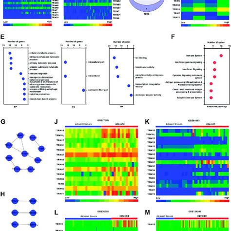 The Mutation Characteristics Of TRIMs In HBV Positive HCC A The