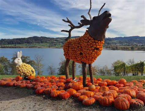 My Owl Barn Giant Sculptures Made With Pumpkins At Jucker Farm