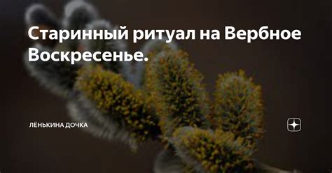 Старинный ритуал на Вербное Воскресенье. | Лёнькина дочка | Дзен