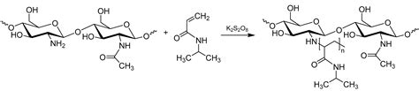 Polymers Free Full Text Synthesis And Characterization Of