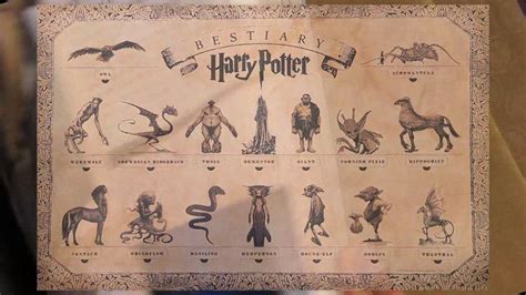 Exploring The Enchanting World Of Magical Creatures In Harry Potter Bulb