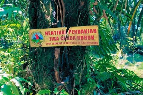 Pendakian Kawah Ratu Gunung Salak Sejarah Rute Dan Harga Tiket Masuk