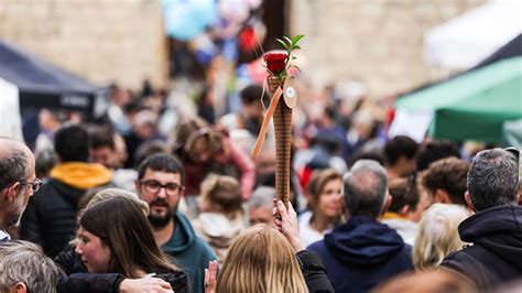 Cugat Mèdia Sant Jordi