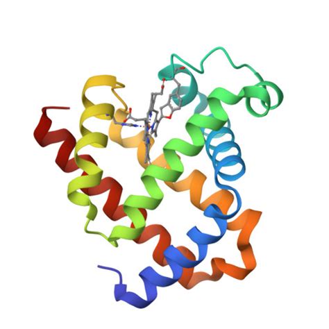 RCSB PDB 6JP1 An X Ray Structure Of Met Sperm Whale F43Y T67R