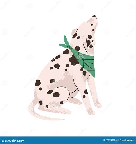 Dog of Dalmatian Breed. Cute Bicolor Doggy with Black Spots on Hair ...