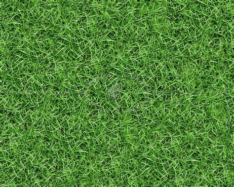 Green Grass Textures Seamless