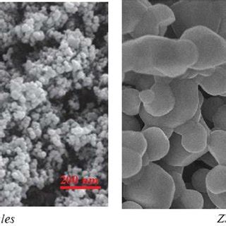 SEM images of AlN and ZnO nanoparticles | Download Scientific Diagram 
