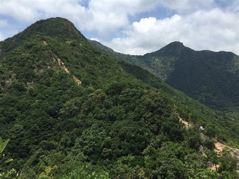 hunch back – SAI KUNG BUZZ