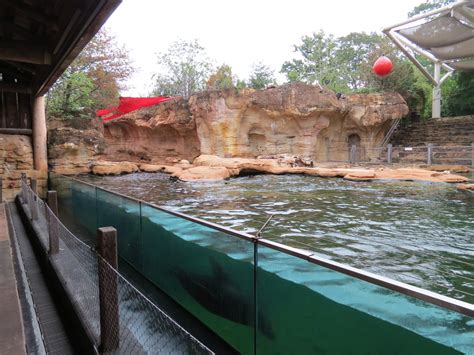 Northwest Passage California Sea Lion Exhibit Zoochat