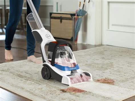 What Is The Best Pet Carpet Cleaner Storables