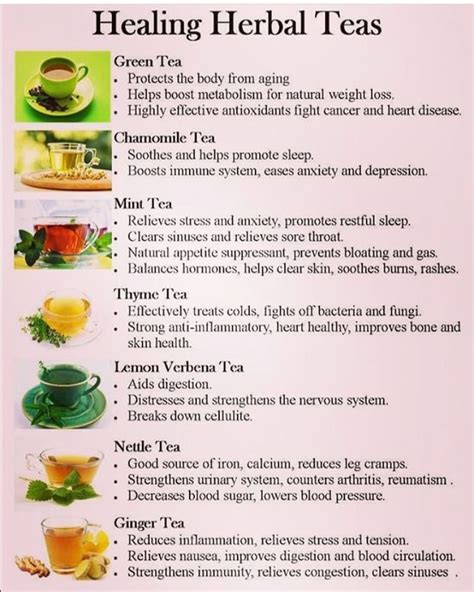 17 Best Tea Types To Boost The Immune System Teafame