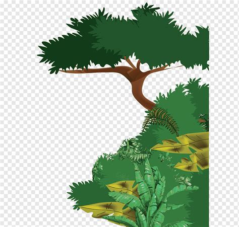 Rainforest Flowers Clipart Best Flower Site