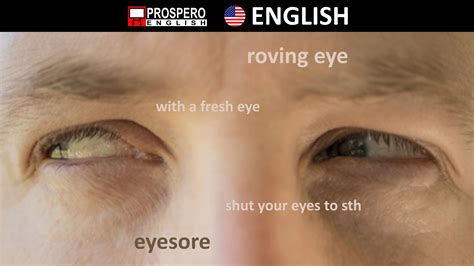 Idioms With The Noun Eye Prospero English