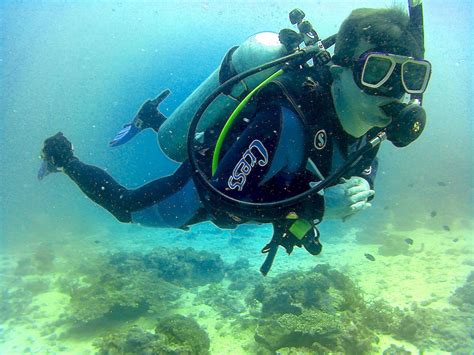 From Bev: A friendly #remora greeted @George and I as we descended at # ...