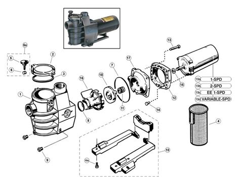 Xtreme Power Pool Pump Wiring Diagram Wiring Diagram Pump Motor