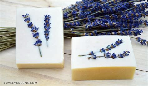 Honey And Lavender Soap Recipe Instructions Lovely Greens
