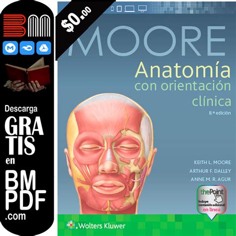 Moore Anatomía Con Orientación Clínica 8va Edición Pdf