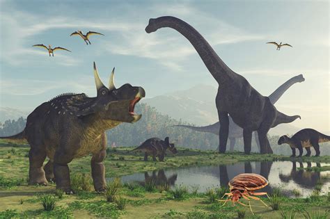 How Did Dinosaurs Die Dinosaurs Extinction History Journalhow | Images ...