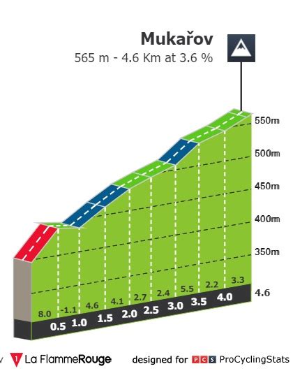 Stage Profiles Course De La Paix Juniors Stage