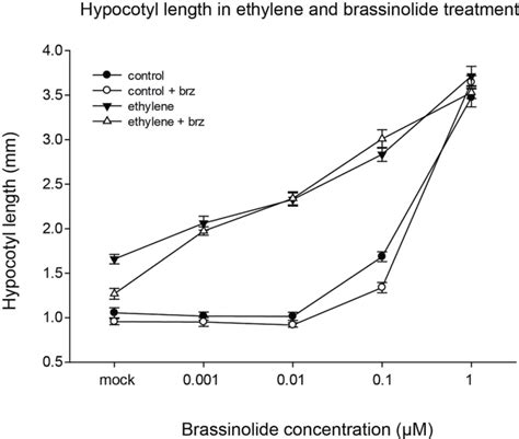 Hypocotyl Elongation In Ethylene In The Presence Of Different