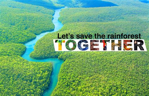 Save The Rainforest Poster