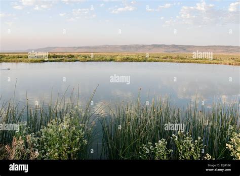 View Across A Natural Lake At Crystal Crane Hot Springs Near Burns Oregon Stock Photo Alamy