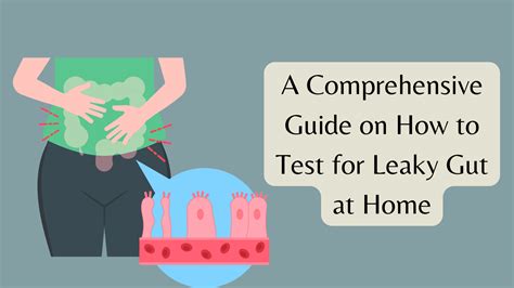 A Comprehensive Guide On How To Test For Leaky Gut At Home Healthnord