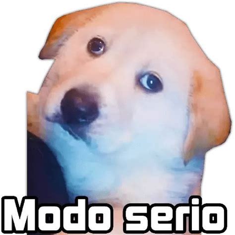 Modo Serio Funny Memes Memes Meme Stickers