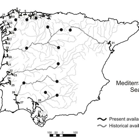 9 Iberian Peninsula With The Representation Of The First Download