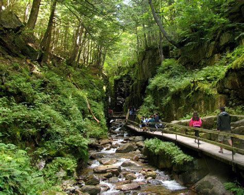 Free Images Tree Waterfall Creek Wilderness Trail River Valley