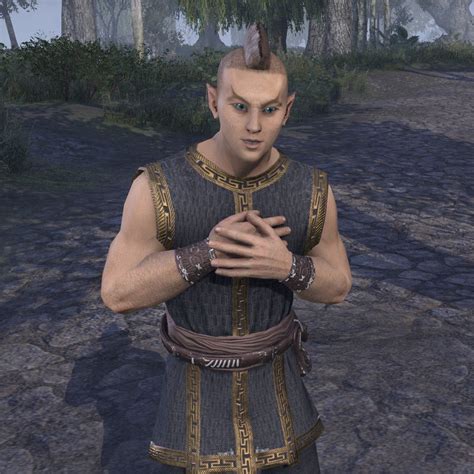 Onlinethe Adoring Admirer The Unofficial Elder Scrolls Pages Uesp