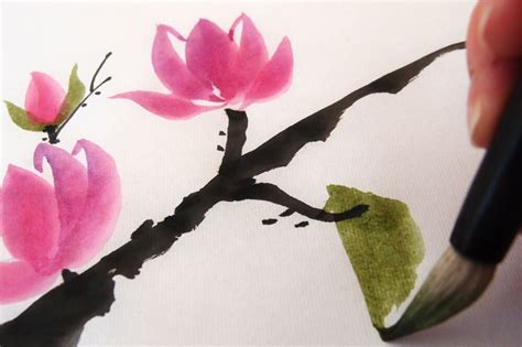 How to Paint Magnolia Blossoms: A Step-by-Step Chinese Brush Painting ...