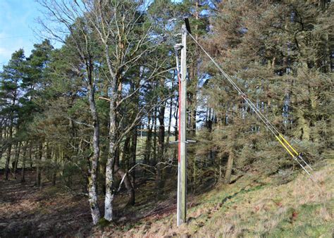 Power Line Emerging © Jim Barton Geograph Britain And Ireland
