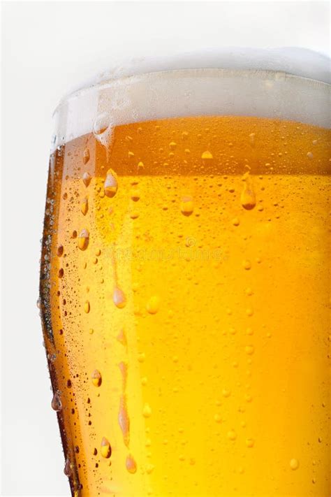 Full Glass Of Beer Stock Image Image Of Gold Froth Drink 8441569