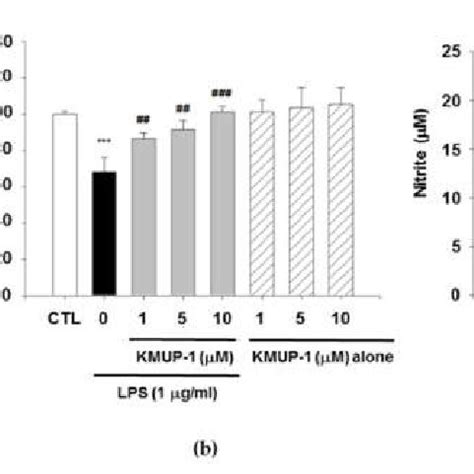 Effects Of Kmup On Cell Viability And No Production In Lps Induced