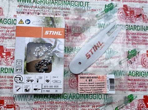 Barra E Catena Potatore Gta Stihl Maglie Agrigiardinaggio Shop