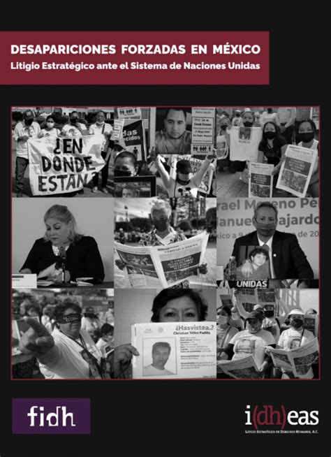 Publicaciones Idheas Idheas Litigio Estratégico en Derechos Humanos AC