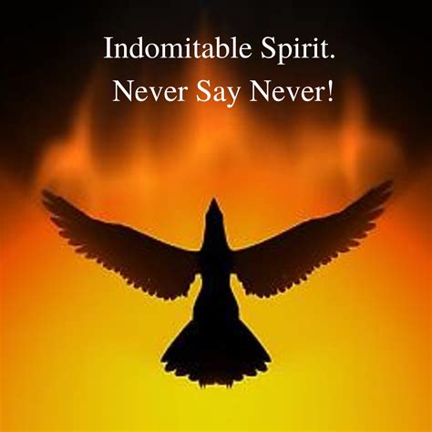 Indomitable Spirit Never Say Never