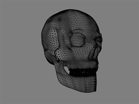 Human Skull 3d 3ds