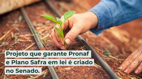 Projeto Que Garante Pronaf E Plano Safra Em Lei Criado No Senado