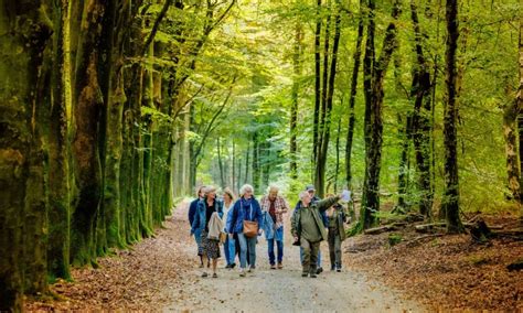 NMF Kamermuziekfestival Bij Natuurmonumenten 2023 Natuurmonumenten