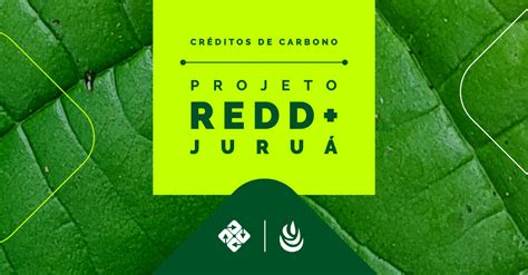 Cr Ditos De Carbono Projeto Redd Juru Biof Lica Ambipar Environment