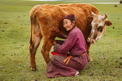 Travel To Mongolia Budget Tours In Mongolia Travel To Mongolia Budget