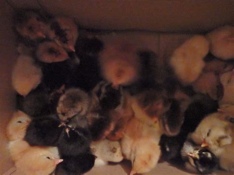 Living in Kyrgyzstan: A Crash Culture Course | See Her Travel