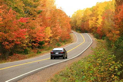 Plan Your Leaf Peeping Now For Maximum Color