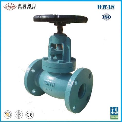 Gg Pn Pn Cast Iron Globe Valve Din Standard China Ansi Ductile