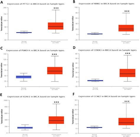 Expression Validation In Ualcan Database For Upregulated Hypomethylated Download Scientific