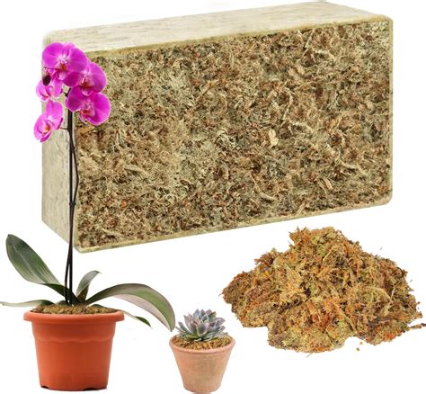 Amazon Better Gro Sphagnum Moss Natural Long Fiber Moss