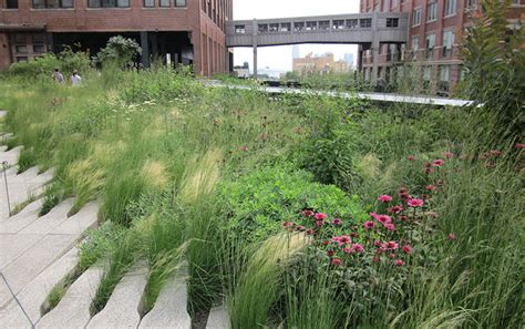 High Line – niezwykły park - Ogrodowe inspiracje