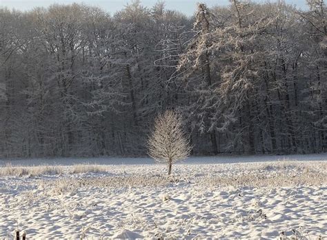 Schnee Naturph Nomene Meteorologie Astronomie Etc C Flickr